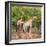 Awesome South Africa Collection Square - Two Giraffes-Philippe Hugonnard-Framed Photographic Print