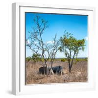 Awesome South Africa Collection Square - Two Rhino sleeping in the Savanna-Philippe Hugonnard-Framed Photographic Print