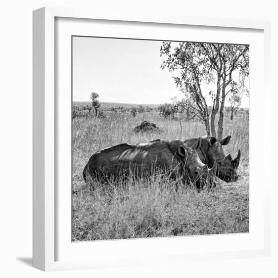 Awesome South Africa Collection Square - Two Rhinoceros sleeping B&W-Philippe Hugonnard-Framed Photographic Print