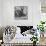 Awesome South Africa Collection Square - Two White Rhinos B&W-Philippe Hugonnard-Photographic Print displayed on a wall