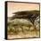 Awesome South Africa Collection Square - Umbrella Acacia Tree at Sunset-Philippe Hugonnard-Framed Stretched Canvas