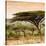 Awesome South Africa Collection Square - Umbrella Acacia Tree at Sunset-Philippe Hugonnard-Stretched Canvas