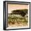 Awesome South Africa Collection Square - Umbrella Acacia Tree at Sunset-Philippe Hugonnard-Framed Photographic Print