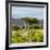 Awesome South Africa Collection Square - Umbrella Acacia Tree II-Philippe Hugonnard-Framed Photographic Print