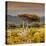 Awesome South Africa Collection Square - Umbrella Acacia Tree III-Philippe Hugonnard-Stretched Canvas