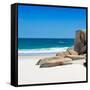 Awesome South Africa Collection Square - White Sandy Beach-Philippe Hugonnard-Framed Stretched Canvas