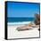 Awesome South Africa Collection Square - White Sandy Beach-Philippe Hugonnard-Framed Stretched Canvas