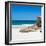 Awesome South Africa Collection Square - White Sandy Beach-Philippe Hugonnard-Framed Photographic Print