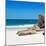 Awesome South Africa Collection Square - White Sandy Beach-Philippe Hugonnard-Mounted Photographic Print