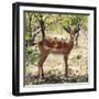 Awesome South Africa Collection Square - Young Impala Portrait-Philippe Hugonnard-Framed Photographic Print