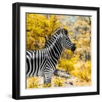 Awesome South Africa Collection Square - Zebra Portrait II-Philippe Hugonnard-Framed Photographic Print