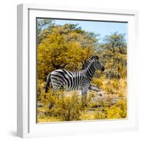 Awesome South Africa Collection Square - Zebra Profile II-Philippe Hugonnard-Framed Photographic Print