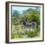 Awesome South Africa Collection Square - Zebra Profile-Philippe Hugonnard-Framed Photographic Print