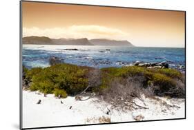 Awesome South Africa Collection - Sunset from Boulders Beach-Philippe Hugonnard-Mounted Photographic Print