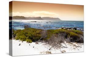 Awesome South Africa Collection - Sunset from Boulders Beach-Philippe Hugonnard-Stretched Canvas