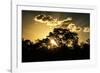 Awesome South Africa Collection - Trees Silhouette at Twilight on the Savanna-Philippe Hugonnard-Framed Photographic Print