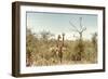 Awesome South Africa Collection - Two Giraffes I-Philippe Hugonnard-Framed Photographic Print