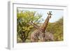 Awesome South Africa Collection - Two Giraffes VIII-Philippe Hugonnard-Framed Photographic Print