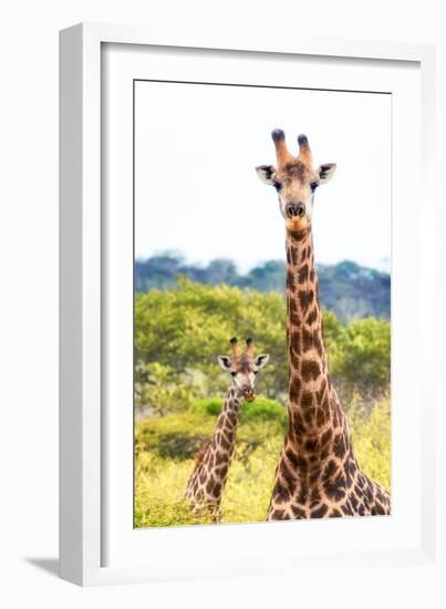 Awesome South Africa Collection - Two Giraffes XII-Philippe Hugonnard-Framed Photographic Print