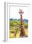 Awesome South Africa Collection - Two Giraffes XII-Philippe Hugonnard-Framed Photographic Print