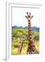 Awesome South Africa Collection - Two Giraffes XII-Philippe Hugonnard-Framed Photographic Print