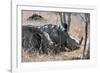 Awesome South Africa Collection - Two white Rhino slepping-Philippe Hugonnard-Framed Photographic Print