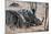 Awesome South Africa Collection - Two white Rhino slepping-Philippe Hugonnard-Mounted Photographic Print