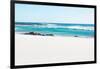 Awesome South Africa Collection - White Sand Beach-Philippe Hugonnard-Framed Photographic Print