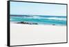 Awesome South Africa Collection - White Sand Beach-Philippe Hugonnard-Framed Stretched Canvas