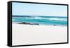 Awesome South Africa Collection - White Sand Beach-Philippe Hugonnard-Framed Stretched Canvas