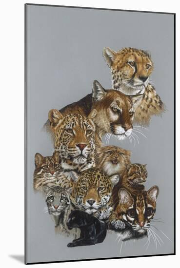 Awesome-Barbara Keith-Mounted Giclee Print