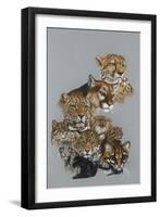 Awesome-Barbara Keith-Framed Premium Giclee Print