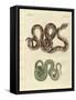 Awful Snake-null-Framed Stretched Canvas