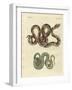 Awful Snake-null-Framed Giclee Print