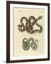 Awful Snake-null-Framed Giclee Print