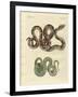 Awful Snake-null-Framed Giclee Print