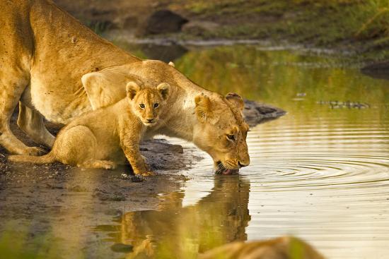 Premium Photographic Print, , large