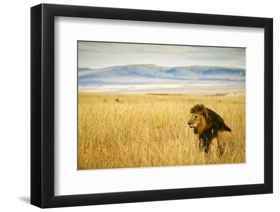 Photographic Print, , large