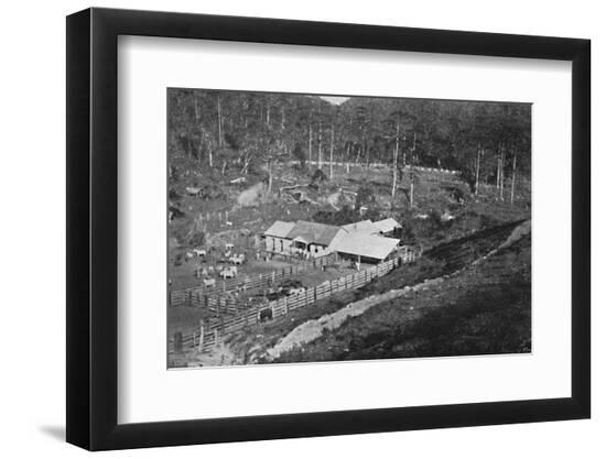 Premium Photographic Print, , large
