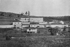 'Plantacao de Mandioca', 1895-Axel Frick-Photographic Print