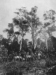 'Ponte da E. F. Mogyana sobre o Rio Pardo', 1895-Axel Frick-Photographic Print