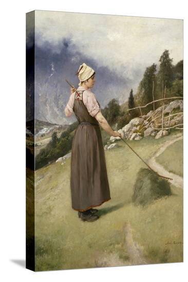 Stretched Canvas Print, , large