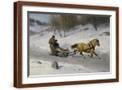 Brown Frame
