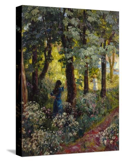 Stretched Canvas Print, , large