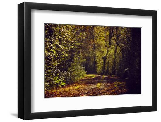 Premium Photographic Print, , large