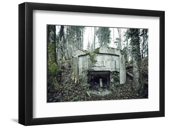 Premium Photographic Print, , large