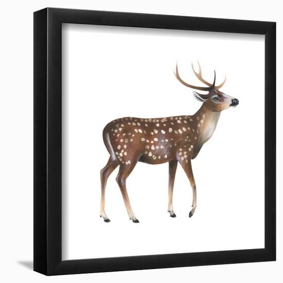 Axis Deer (Cervus Axis), Mammals-Encyclopaedia Britannica-Framed Poster