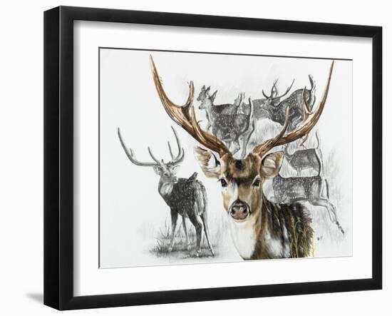 Axis Deer-Barbara Keith-Framed Giclee Print