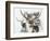 Axis Deer-Barbara Keith-Framed Giclee Print