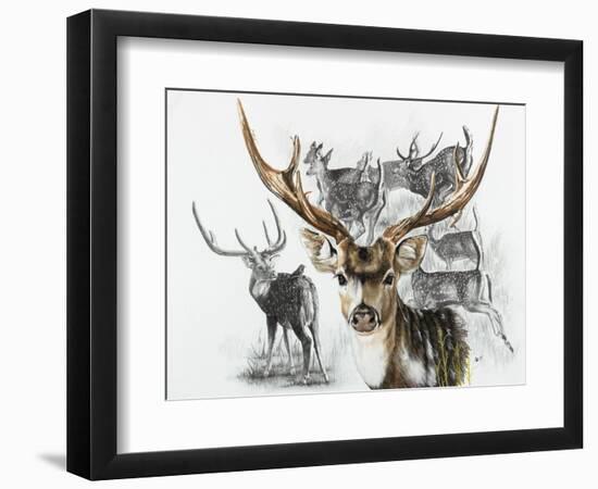 Axis Deer-Barbara Keith-Framed Giclee Print